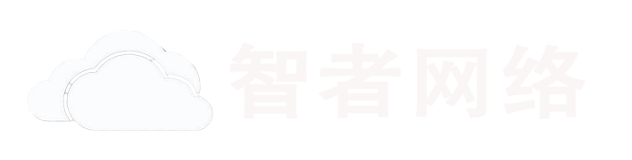 智者网络科技